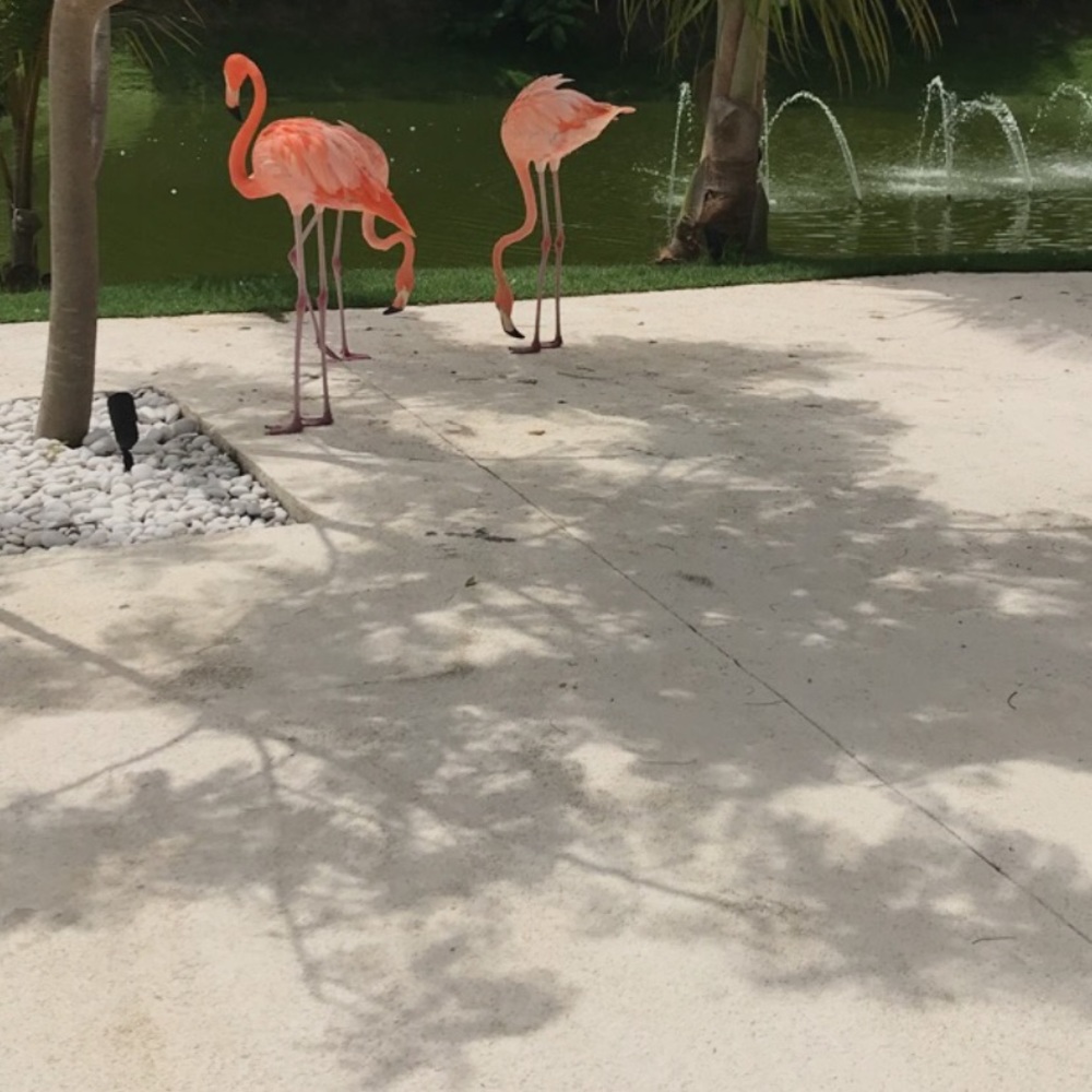 Meet your Posher, Karla